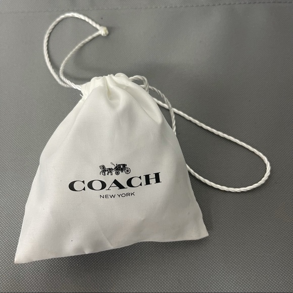 Coach- Perry Quartz Silver Dial Satin Scarf Watch - Picture 4 of 5